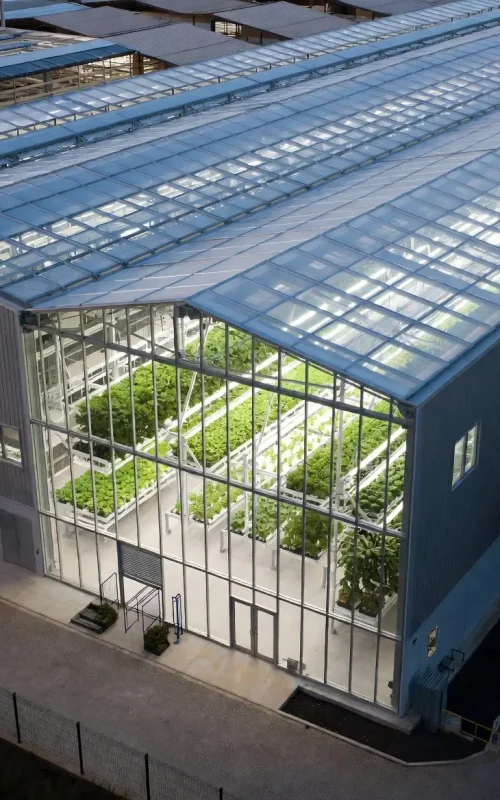 bb2f6927-ca0e-4555-9a0f-9fe2319515bb