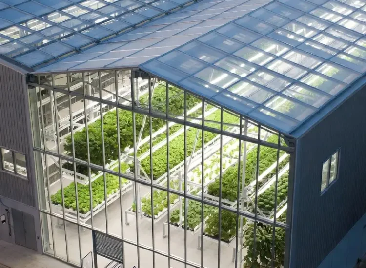 bb2f6927-ca0e-4555-9a0f-9fe2319515bb